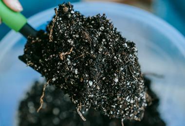 pexels-teona-swift-6913399