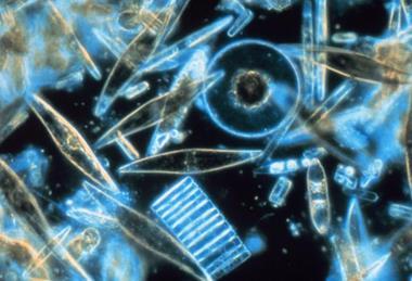 Low-Res_pl23_corp2365