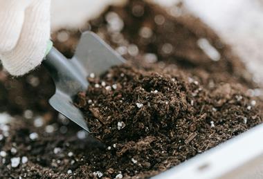 pexels-sasha-kim-9413735