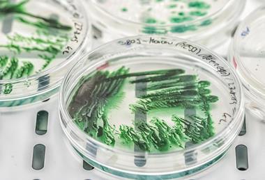 Low-Res_PM_ND85163©André Künzelmann UFZ