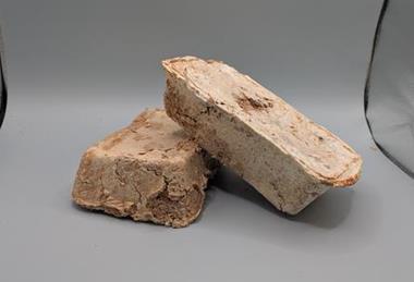 Low-Res_fungus bricks NASA STTR (1)