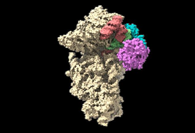 Low-Res_EMCV_TH Lab-DBG IISc