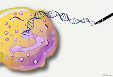 Low-Res_IMSTO_27_6_IMSTO_27_5_IMSTO_27_4_Image