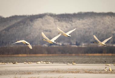 pexels-tomfisk-17153972