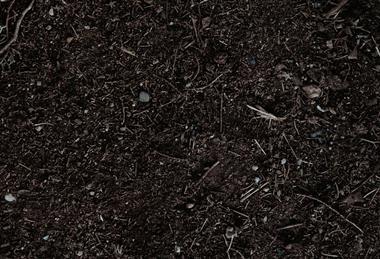 pexels-araf-29555030