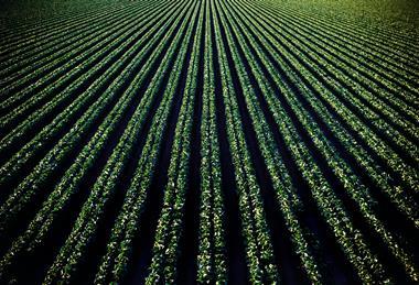 pexels-timmossholder-974316