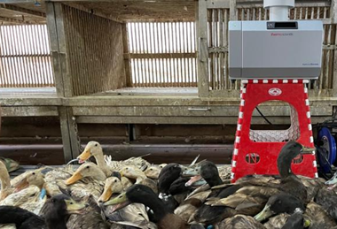 Low-Res_LBM_Air_Sampling