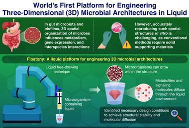 Low-Res_TKTEC_735_5_182713405_0fb745bf-6e81-44fe-ba27-1377f9a22e12__infographic_13_jul_2026__1_ (1)