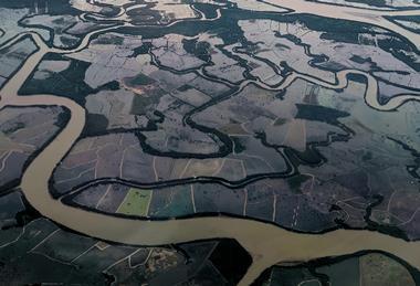 pexels-kopi-hitam-mantap-1169537852-32035652