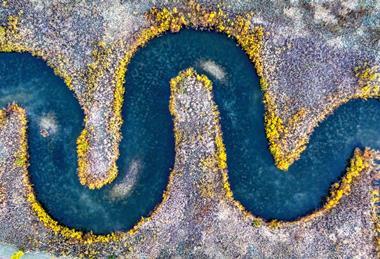 pexels-tomfisk-10900754