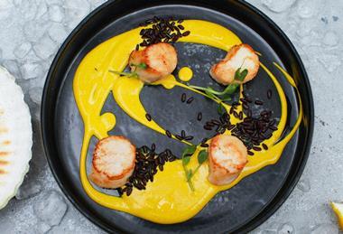 pexels-roman-odintsov-4871170