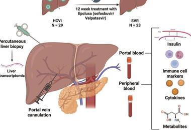 Low-Res_jcth-14-245-ga (1)