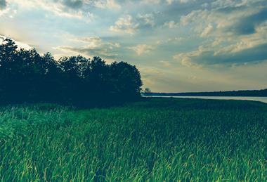 pexels-pixabay-260480