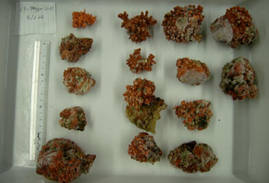 Low-Res_Fig1 Frozen Rhodoliths