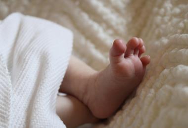 pexels-inspired2love-36828153