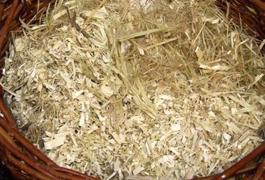 Hemp_shives