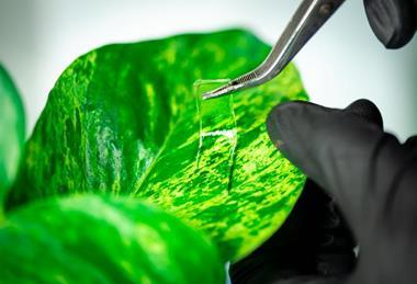 Low-Res_UCSD-JacobsSchool-2604-Steinmetz-gel-04042-8MP