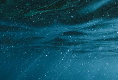 pexels-davidboca-5466507