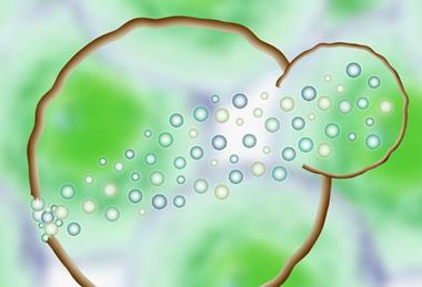 Low-Res_square_20251128-plasma membrane repair proteins-header-6