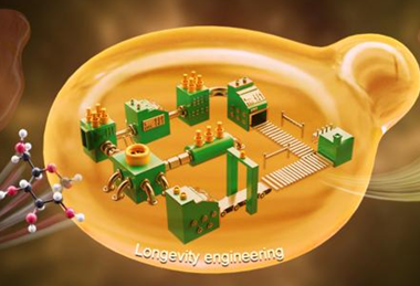 Low-Res_Researchers boost biosynthetic capacity in yeast through extended lifespan
