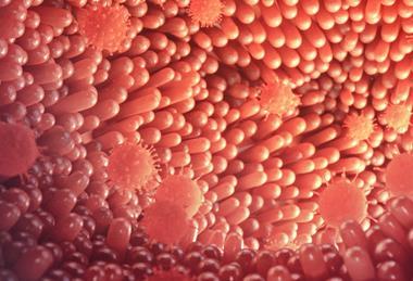 AMI_Journals_Key_Journal_Image_JAM