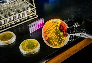 Low-Res_Qin_Wei-260211-fz-002