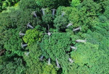 Low-Res_photo credit Shomari Healy - DJI_0003