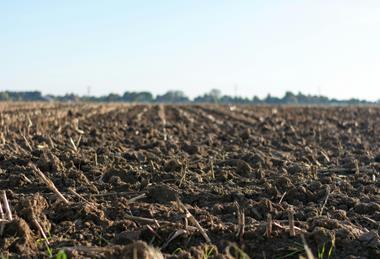 pexels-jan-kroon-357445-1000057