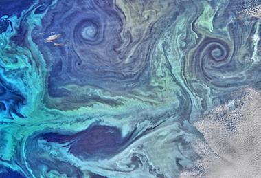 NASA_satellite_view_of_Southern_Ocean_phytoplankton_bloom_(crop)