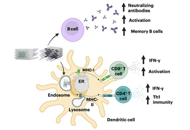 Low-Res_DoriVac PR Graphic