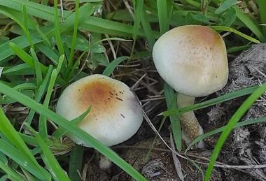 Low-Res_Talan Moult_3