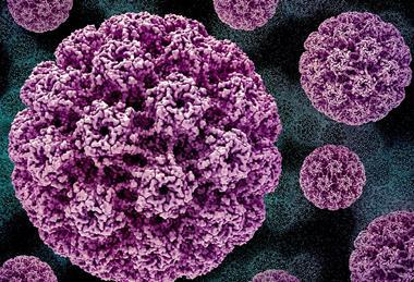 Human_Papillomavirus_(HPV) (1)