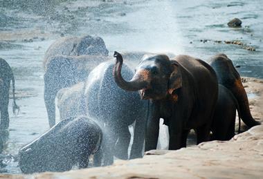 pexels-freestockpro-322480