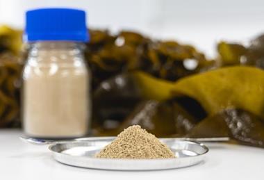 Low-Res_High purity fucoidan