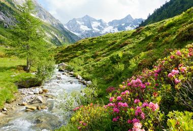 iStock-515856010