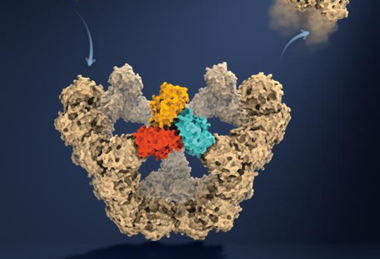 Low-Res_Viral particle assembly