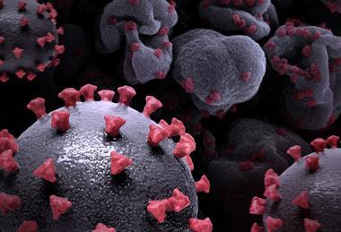 SARS-CoV-2_Virus