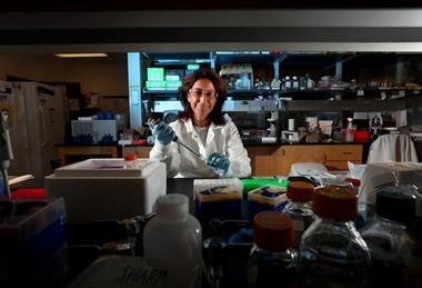 Low-Res_Karine Le Roch in the lab