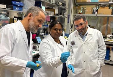 Low-Res_NYU Abu Dhabi research team