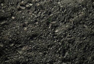 avinash-kumar-rEIDzqczN7s-unsplash