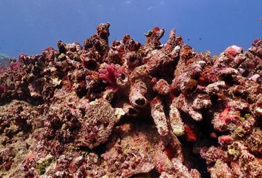 Low-Res_cr-edmunds-pete-004-m