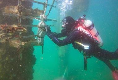 Low-Res_pump_maintenance Large