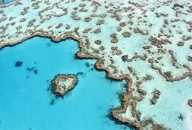 The_heart_reef,_part_of_the_Great_Barrier_Reef_near_Airlie_Beach,_Whitsunday_Islands,_Queensland