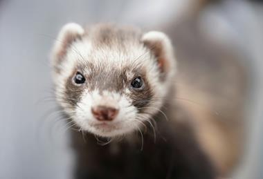 pexels-verina-37726706-7179718