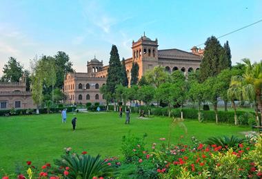 Islamia_College_Peshawar_garden