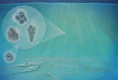 Low-Res_Life Finds a Way at Impact Site_A