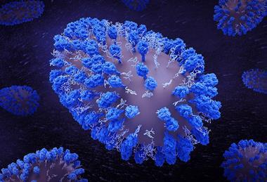 Human_Respiratory_Syncytial_Virus_(RSV)_-_4111