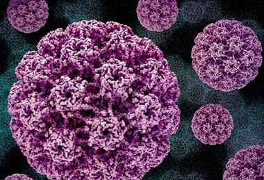Human_Papillomavirus_(HPV)