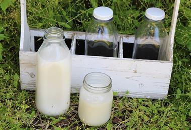 Raw_Milk_in_containers_and_carrier