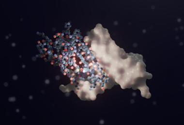 Low-Res_P7_R7_Blender3D_DY (2)